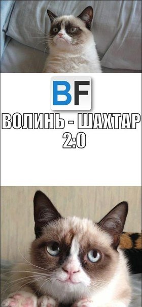 «Волинь» перемогла «Шахтар»: інтернет радіє і глузує