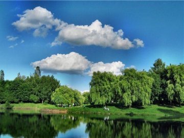 У луцькому парку буде три майданчики для вигулу тварин