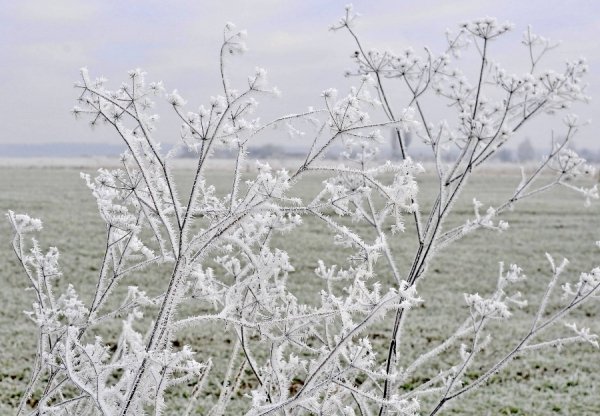 Волинь в льодяному тумані. ФОТО