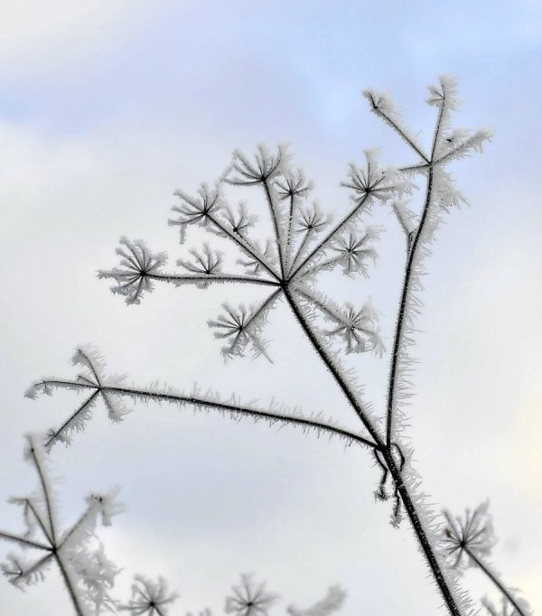Волинь в льодяному тумані. ФОТО