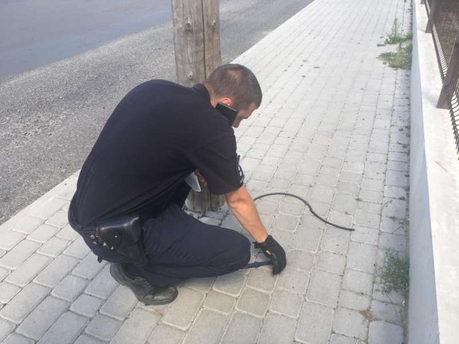 У Луцьку на вулиці затримали чоловіка з ножем, який перебуває на обліку у психлікарні