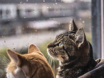 На Волині – аномальне тепло