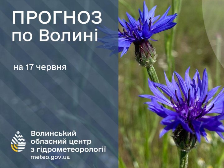 Погода в Луцьку та Волинській області на завтра, 17 червня