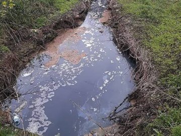 Лучан просять «здавати» сусідів, які зливають нечистоти