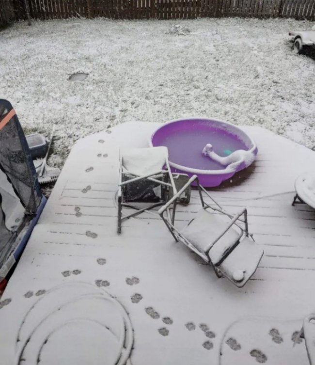 Серед літа схід Канади засипало снігом. ФОТО