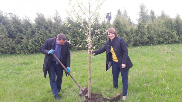 У місті на Волині озеленили територію парку. ФОТО