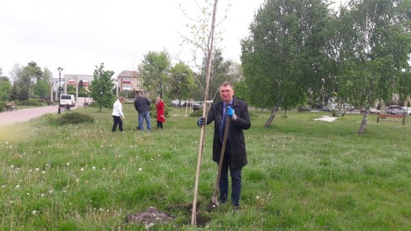 У місті на Волині озеленили територію парку. ФОТО