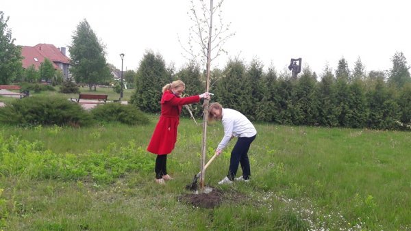 У місті на Волині озеленили територію парку. ФОТО