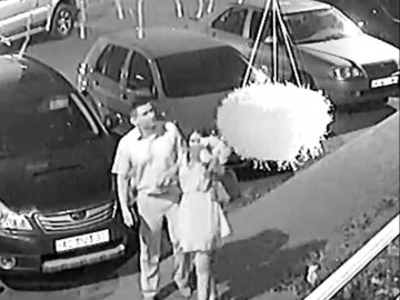 У Луцьку двоє людей «спалились» на крадіжці  квітів. ФОТО