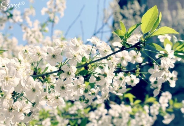 Фотовиставка Олександри Містюк