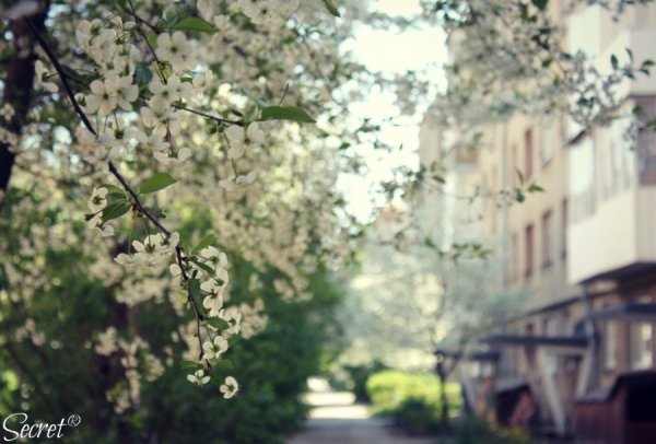 Фотовиставка Олександри Містюк