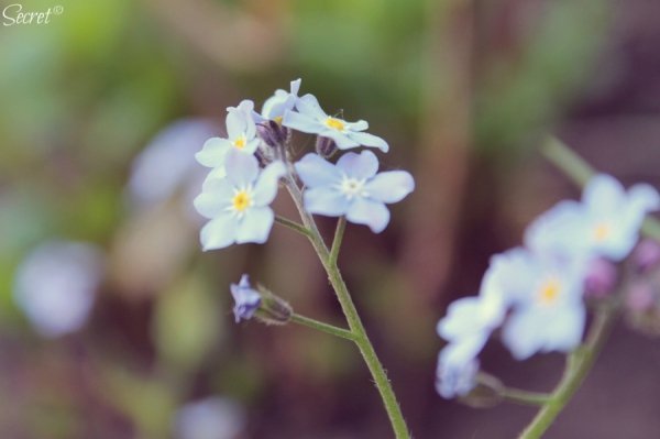 Фотовиставка Олександри Містюк