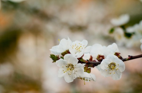 Фотовиставка Дмитра Лисюка