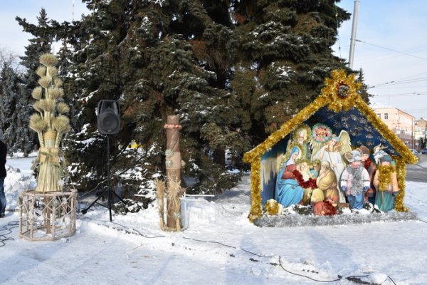 У Луцьку вперше встановили Різдвяного Дідуха