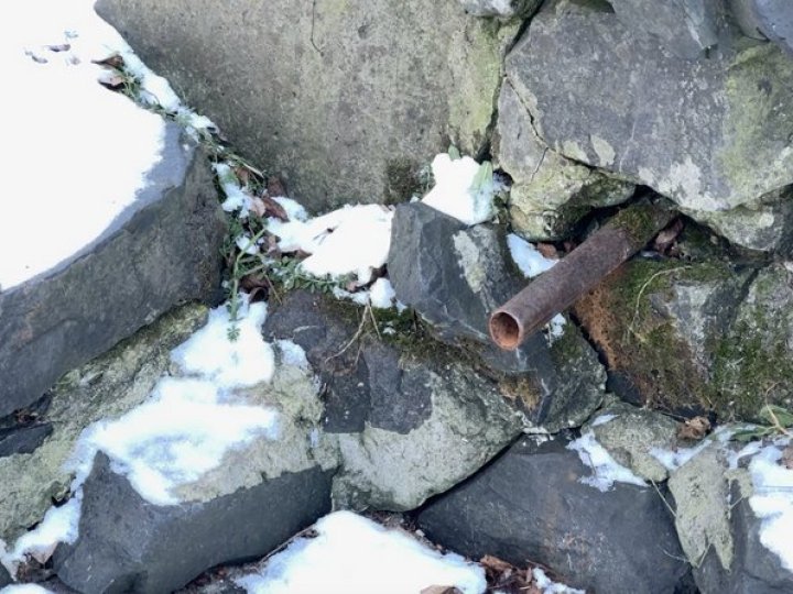 «Колись воду каністрами набирали»: що сталося з Оконськими джерелами на Волині