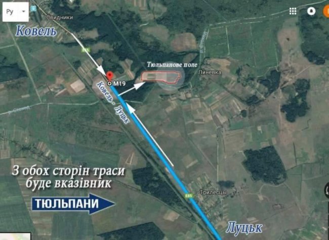 Як дістатися до масштабного фестивалю тюльпанів на Волині. КАРТА