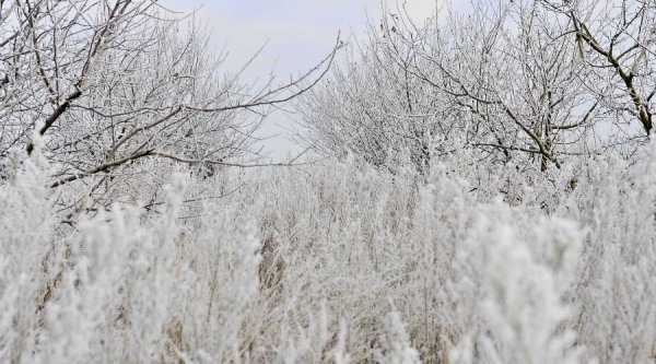 Волинь в льодяному тумані. ФОТО