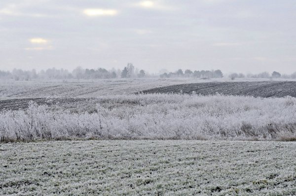 Волинь в льодяному тумані. ФОТО