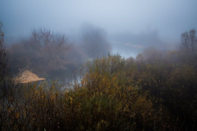 Туманна Волинь на світлинах луцького фотографа