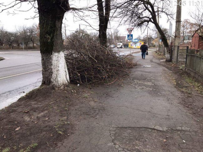 На двох вулицях у Луцьку жителі влаштували сміттєзвалище. ФОТО