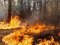  На Волині 38-річний чоловік спалив 14 га лісу