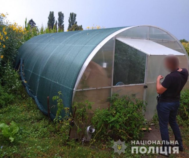 Викрили волинянина, який у теплиці вирощував коноплю. ФОТО
