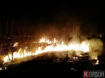 Вогонь наблизився майже до заправки: у Любомльському районі гасили пожежу трави. ФОТО
