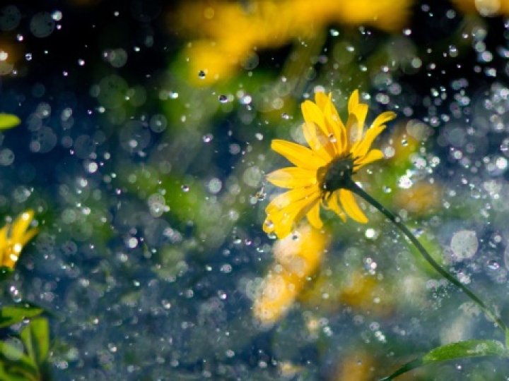 Погода в Луцьку та Волинській області на завтра, 20 липня