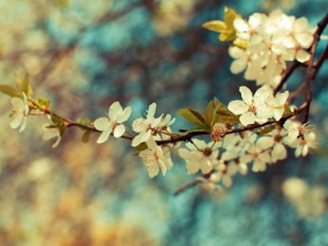 Погода в Луцьку та Волинській області на середу, 18 квітня