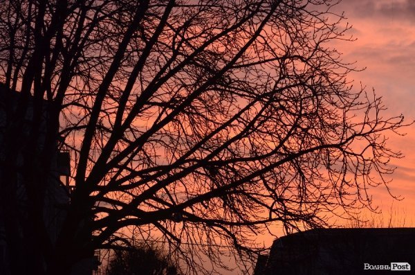У Луцьку запалили новорічну ялинку. ФОТО