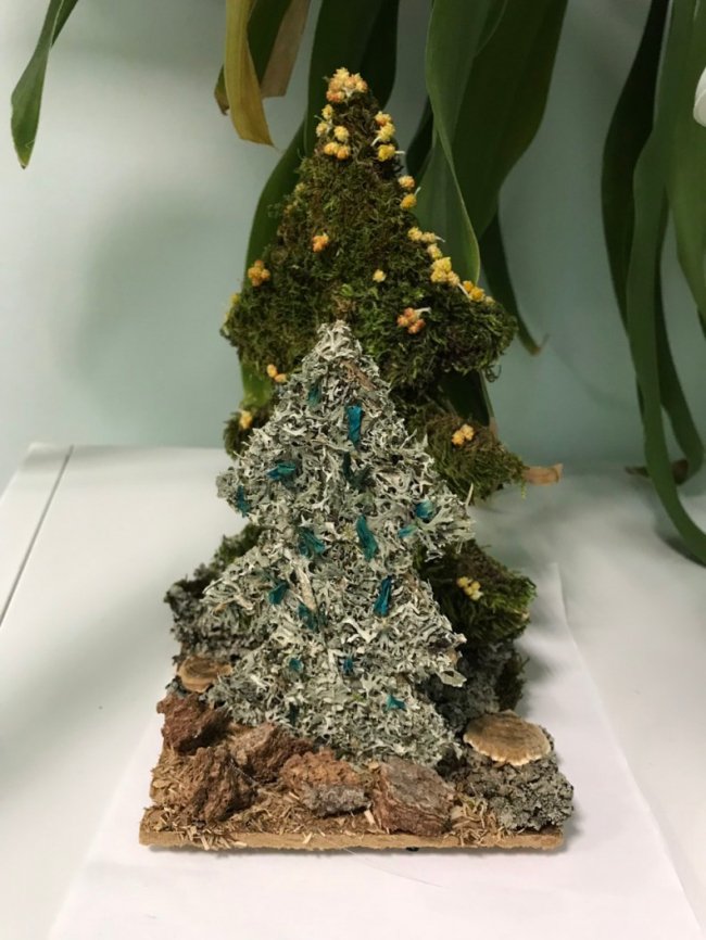 Новорічна еко-ялинка: на Волині для дітей організували конкурс. ФОТО