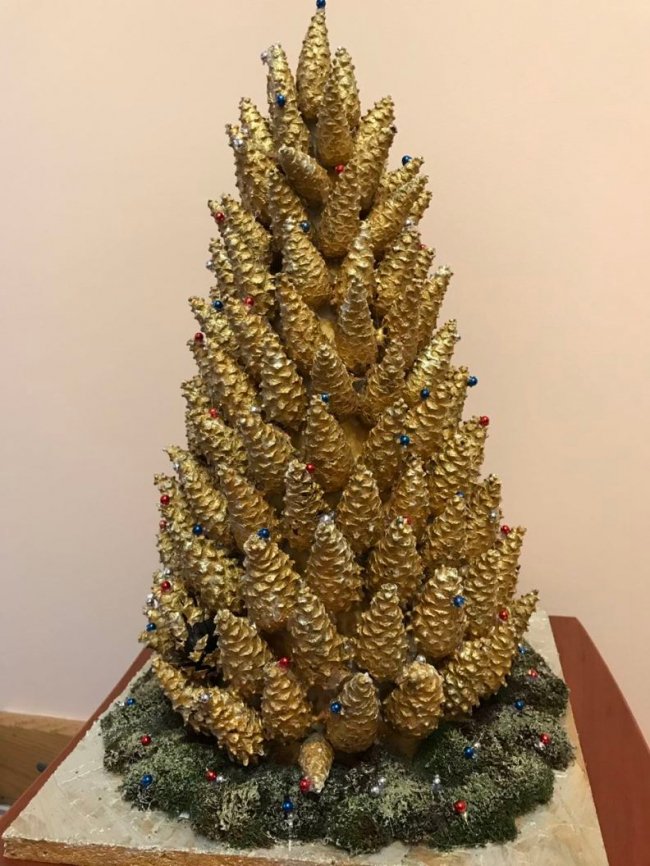 Новорічна еко-ялинка: на Волині для дітей організували конкурс. ФОТО