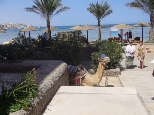 Автор  Наталя Тандрик