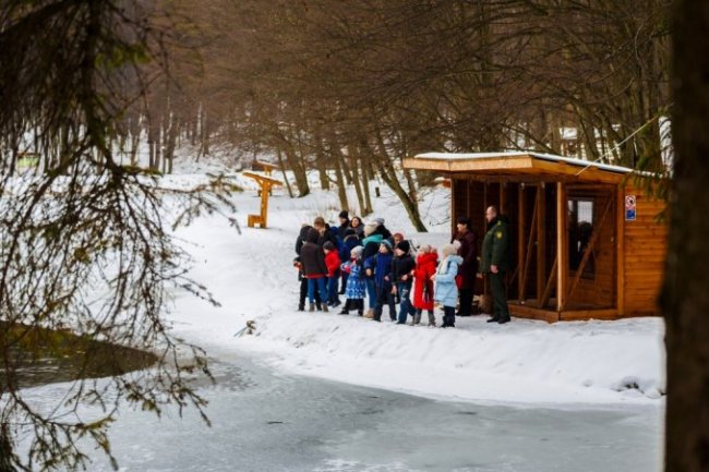 У «волинській Швейцарії» знову зимують дикі качки. ФОТО