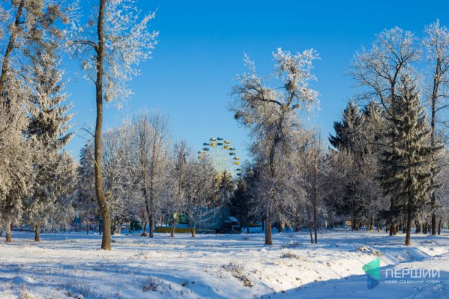 Мерехтливий сніг і кришталевий іній: Луцьк опинився у морозному полоні. ФОТО