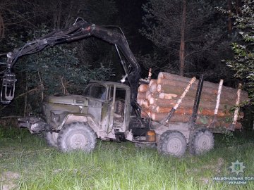 Волинянин на ЗіЛ викрав 24 соснові колоди. ФОТО