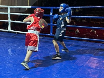 На Волині визначили кращих боксерів у турнірі, присвяченому українським воїнам 