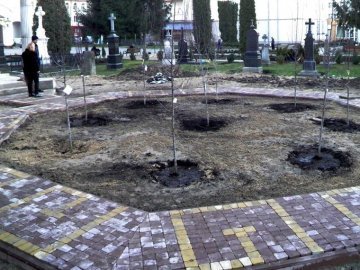 Після критики священики пояснили дерева біля собору в центрі Луцька
