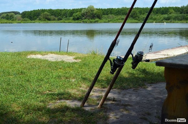 У водоймі є річкова й навіть морська риба: піленгас, язь, лящ, плотва, щука, карп, карась, окунь, сом, товстолоб, білий амур.