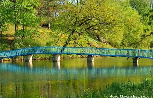 Найкрасивіші дендропарки України, які варто відвідати. ФОТО