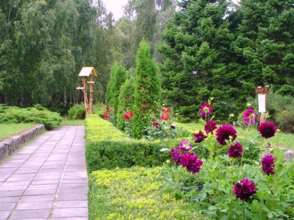 Найкрасивіші дендропарки України, які варто відвідати. ФОТО