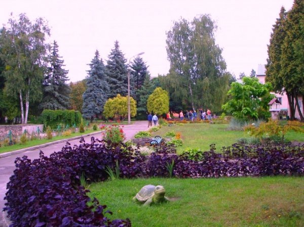 Найкрасивіші дендропарки України, які варто відвідати. ФОТО