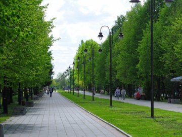 Для впорядкування луцького парку не змогли купити трактор за 1,4 мільйона гривень