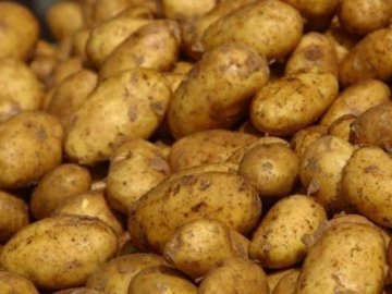Волинян закликають «скинутись» на картоплю