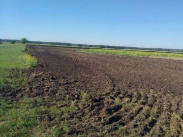 Рейдерство по-волинськи: фермер самовільно зайняв землю і заробив на урожаї 