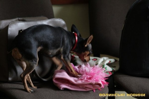 Як маленьких лучан вчили малювати писанки. ФОТО