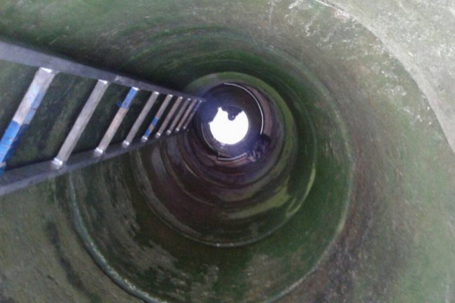 На Волині рятувальнки витягли кота з 8-метрової криниці. ФОТО