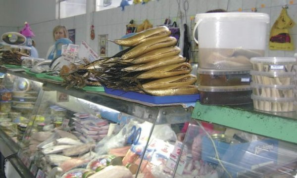 На фото Відомості-UA: Гельмінти з риби путасу