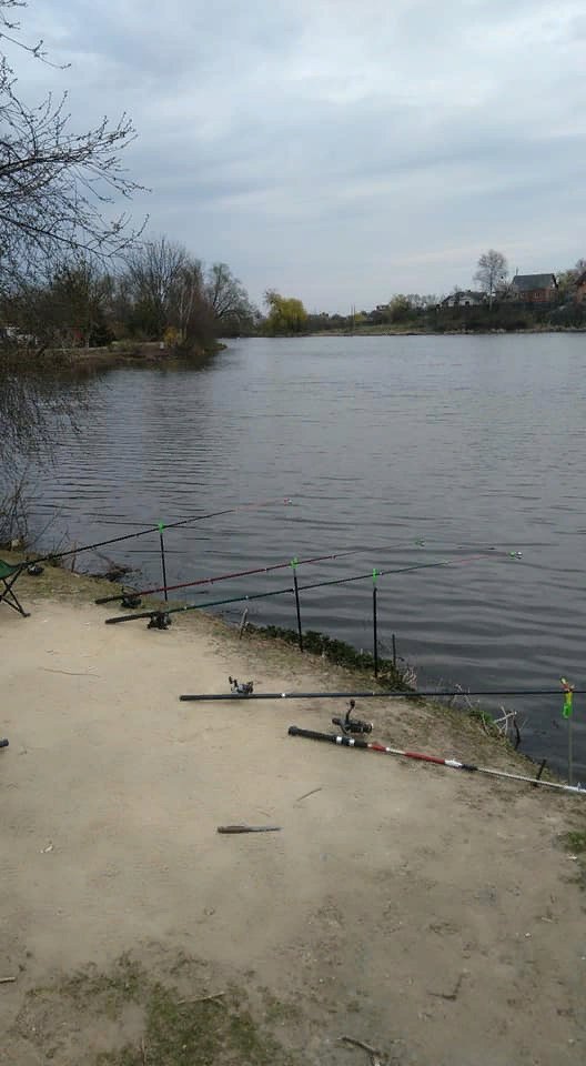 На луцькому ставку утворилося «кладовище» раків