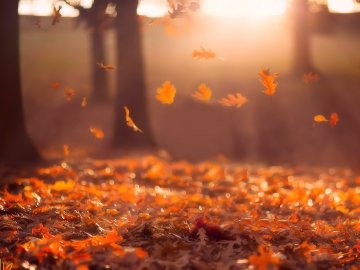 Погода в Луцьку та Волинській області на вівторок, 5 листопада